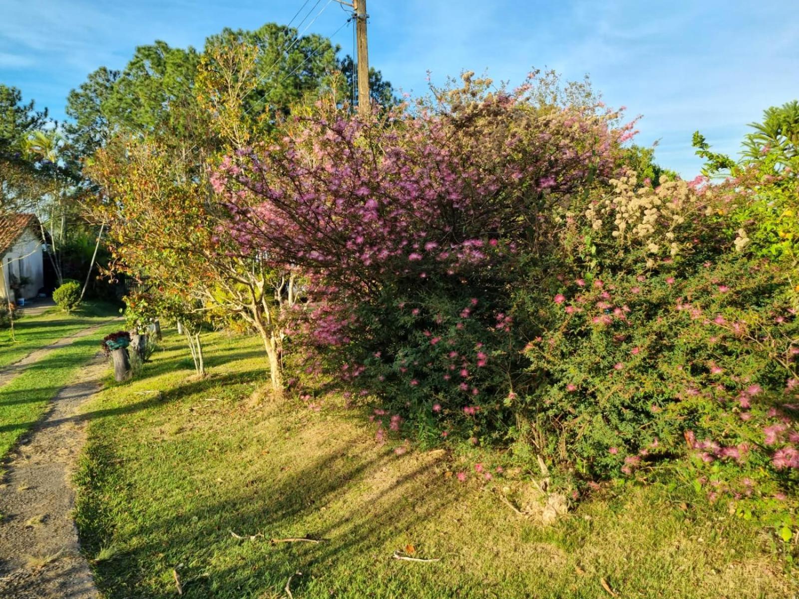 Villa Chácara Áquila São Roque Esterno foto