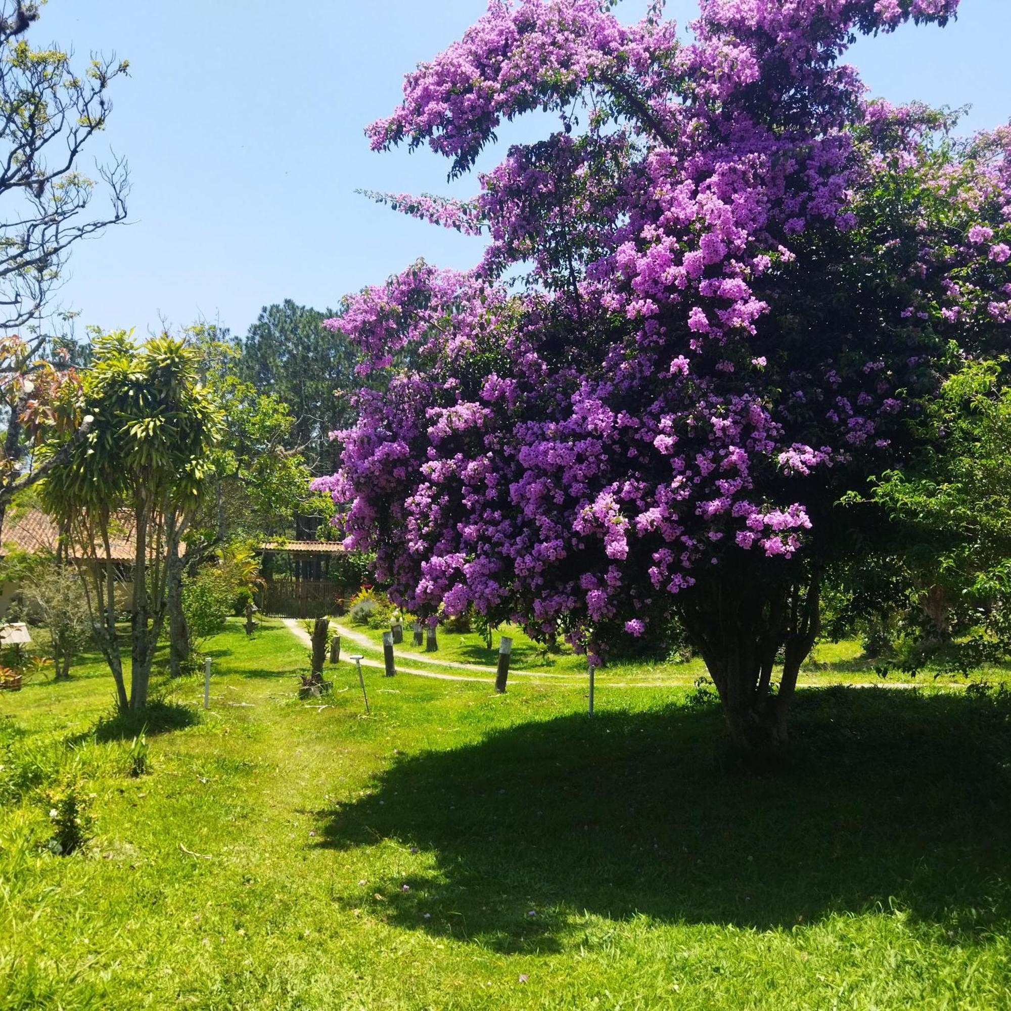 Villa Chácara Áquila São Roque Esterno foto